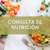 CONSULTA DE NUTRICIÓN - SUJETO A DISPONIBILIDAD