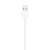 Apple Cable Lightning a USB (1 m) en internet