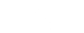 Teu Aroma