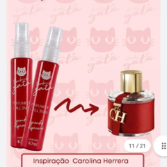 PERFUME DE CALCINHA BANHO DE GATA 40ML - comprar online