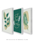 Conjunto 3 Quadros Decorativos Green Flower - loja online