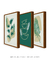 Conjunto 3 Quadros Decorativos Green Flower na internet