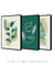 Conjunto 3 Quadros Decorativos Green Flower na internet