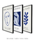 Conjunto 3 Quadros Decorativos Matisse Bluish & Blue Nude - Tons de Casa - Quadros Decorativos