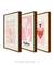 Conjunto 3 Quadros Decorativos Matisse Delicadeza - comprar online