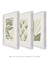 Conjunto 3 Quadros Decorativos Neutral Flower - loja online