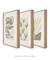 Imagem do Conjunto 3 Quadros Decorativos Neutral Flower