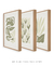 Conjunto 3 Quadros Decorativos Neutral Flower