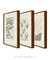 Conjunto 3 Quadros Decorativos Neutral Flower - comprar online