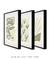 Conjunto 3 Quadros Decorativos Neutral Flower - loja online