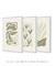 Imagem do Conjunto 3 Quadros Decorativos Neutral Flower