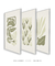 Conjunto 3 Quadros Decorativos Neutral Flower - Tons de Casa - Quadros Decorativos