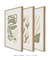 Conjunto 3 Quadros Decorativos Neutral Flower - loja online