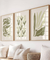 Conjunto 3 Quadros Decorativos Neutral Flower