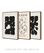 Conjunto 3 Quadros Decorativos Picasso The Museu & Matisse Black - comprar online