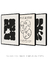 Conjunto 3 Quadros Decorativos Picasso The Museu & Matisse Black na internet