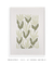 Quadro Decorativo Neutral Flower 2