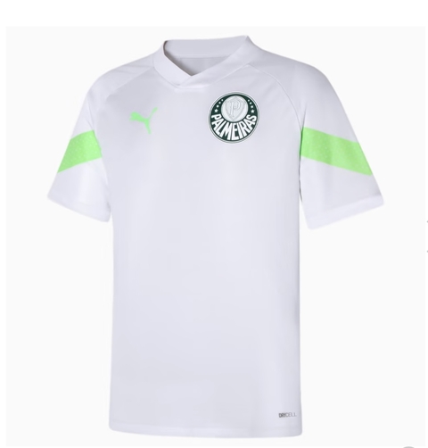 Camisa Brasil Goleiro 2022/24 Nike Torcedor Masculina Preta