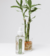 Home Spray Bamboo - comprar online