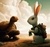 STORY: THE RABBIT AND THE TURTLE - comprar online
