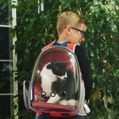 Mochila Transportadora Mascotas Perro Gato Viaje