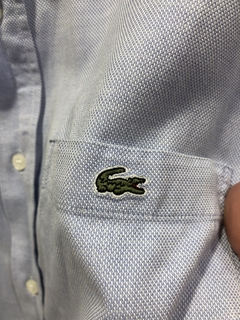 camisa social lacoste - loja online