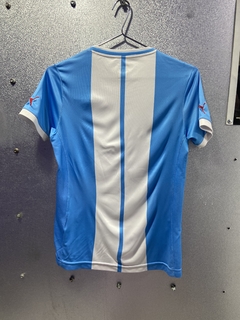 Imagem do Camisa de time paysandu puma