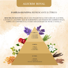 Perfume para Ambiente Alecrim Royal: Elevando a Aura do Seu Espaço com Frescor Nobre - Anantra By Ana