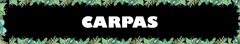 Banner de la categoría CARPAS