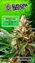 Euphoria Seeds XXL Monster Blue Auto x 3 - comprar online