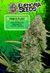 Euphoria Seeds Power Plant Automatica x 3