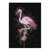 Placa Decorativa A4 Cisne Rosa Decoração Animais Decoração