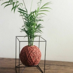 KOKEDAMA DE PALMEIRINHA CHAMAEDOREA