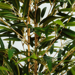 Planta Árvore Artificial Bambu Reto Sem vaso na internet