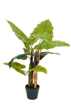 Planta Arvore Artificial Taro Sem vaso 80cm