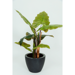 Planta Arvore Artificial Taro Sem vaso 80cm - Ozem Decor