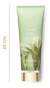 Imagem do Victoria's Secret Hidratante Corporal Original Fresh Jade