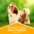 Comida para perros adultos 2KG PURINA DOG CHOW 777519 - tienda online