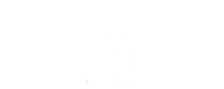 Los Vikingos