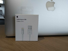 Lightning to USB (cable 1m)