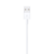 Apple Cable Lightning a USB (1 m) en internet