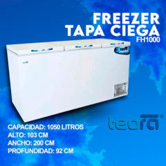 FREEZER TEORA TAPA CIEGA FH1000