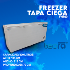 FREEZER TEORA TAPA CIEGA FH800