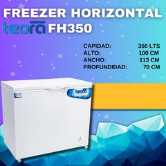 FREEZER TEORA TAPA CIEGA FH350