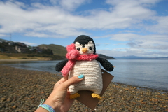 Pingüino con bufanda