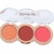 Paleta de Blush Blush Up My Life Efeito Matte Profissional