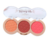 Paleta de Blush Blush Up My Life Efeito Matte Profissional - comprar online