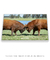 Quadro Decorativo - Briga de touros Red angus - loja online