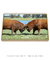 Imagem do Quadro Decorativo - Briga de touros Red angus