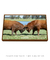 Quadro Decorativo - Briga de touros Red angus